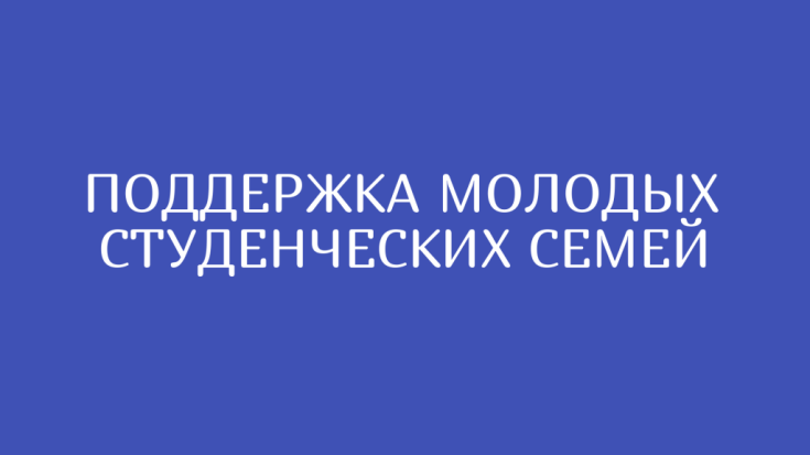 Помощь студенческим и молодым семьям с детьми 1