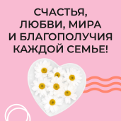 8 июля в России отмечается День семьи, любви и верности 6