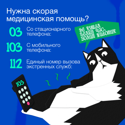 Госпаблики рассказывают, куда звонить в случае ЧП 4